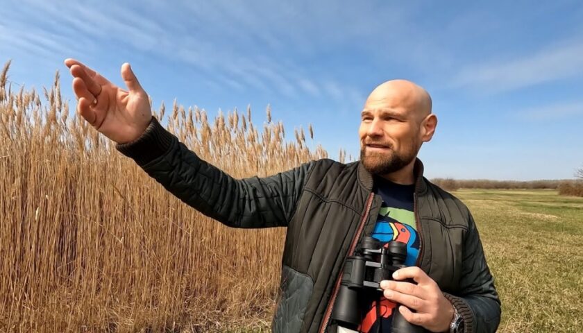 Kocsis Tibor beszólt Bagdy Emőkének: Szerintem ne csapjuk be a gyerekeket. Okosabbak, mint hinnénk Kocsis Tibor beszólt Bagdy Emőkének: Szerintem ne csapjuk be a gyerekeket. Okosabbak, mint hinnénk
