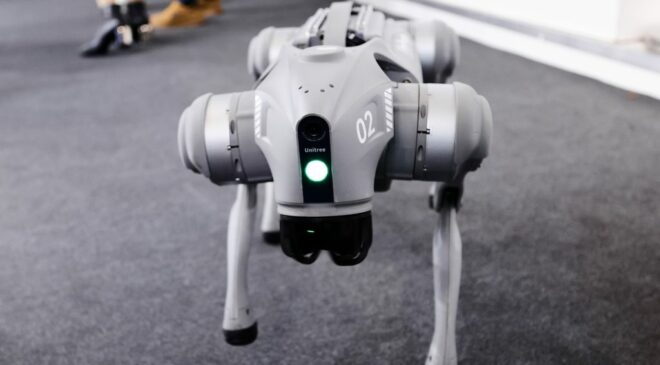 Kínai robotkutyát szerzett be Újpest önkormányzata
