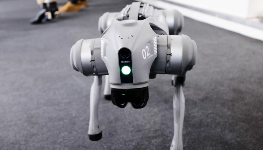 Kínai robotkutyát szerzett be Újpest önkormányzata Kínai robotkutyát szerzett be Újpest önkormányzata