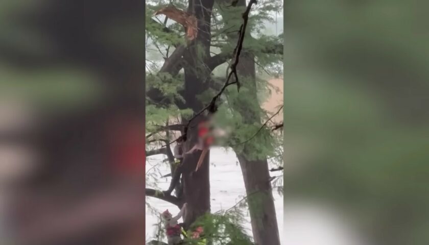 32 kilométerrel arrébb, egy fába kapaszkodva találták meg a texasi árvíz túlélőjét – videón a mentőakció 32 kilométerrel arrébb, egy fába kapaszkodva találták meg a texasi árvíz túlélőjét – videón a mentőakció