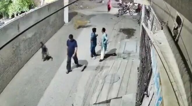 A nyílt utcán lett oroszlántámadás áldozata egy pakisztáni anya és a két kisgyereke – videó
