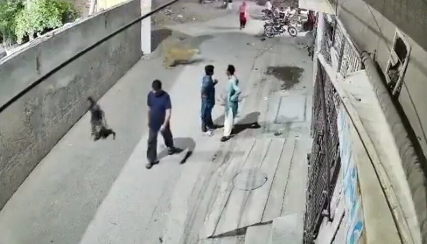 A nyílt utcán lett oroszlántámadás áldozata egy pakisztáni anya és a két kisgyereke – videó A nyílt utcán lett oroszlántámadás áldozata egy pakisztáni anya és a két kisgyereke – videó